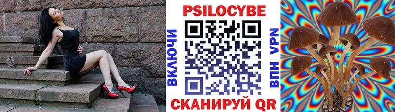 Псилоцибиновые грибы Cubensis Ветлуга